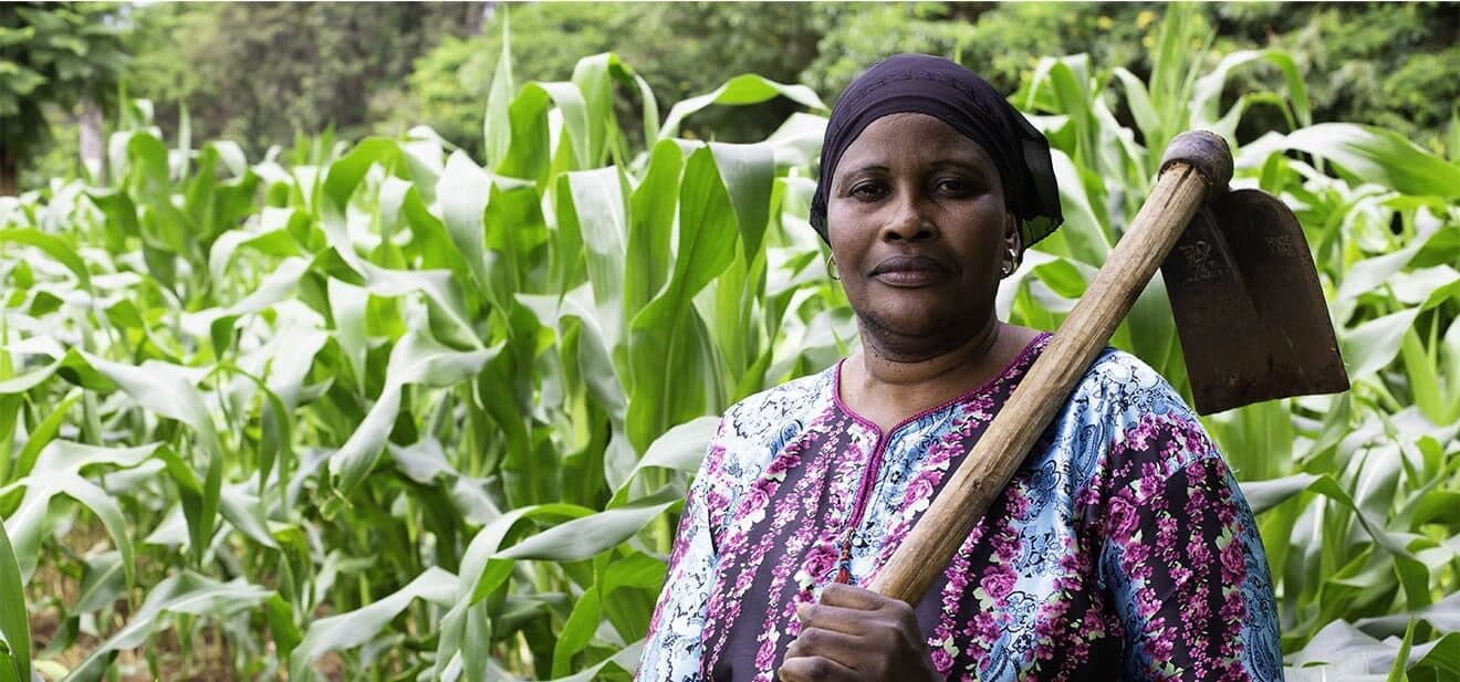 Monitoring and evaluation of safeguarding measures