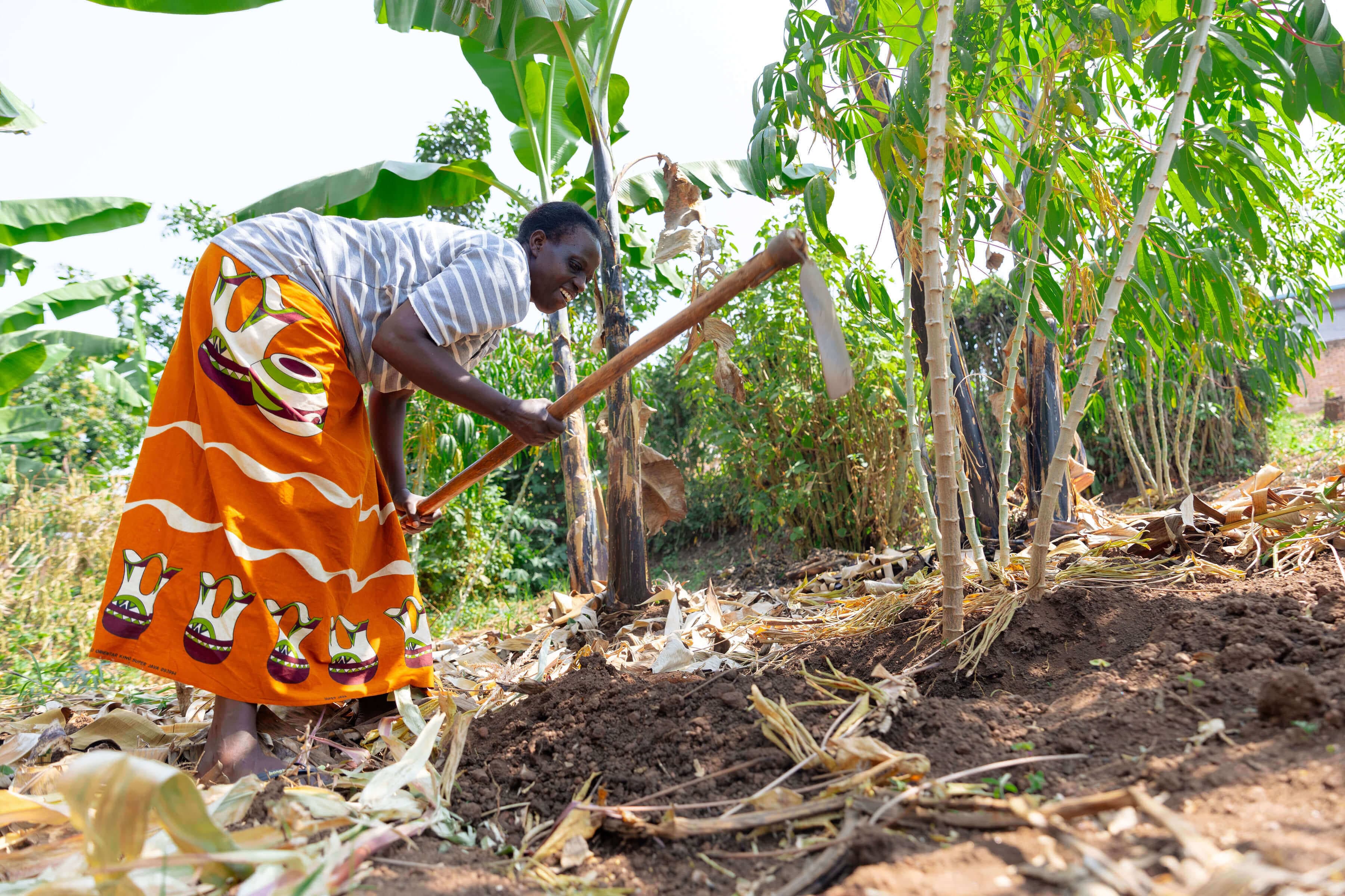 AGRICULTURE LOANS